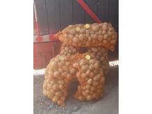 ox_ziemniaki-jadalne-od-rol-z-malego-gospodarstwa-jeszcze-3-wor-po-25kg