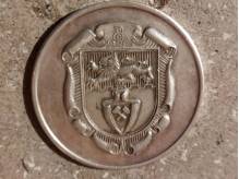 ox_porzadki-domowe-medal-srebrny
