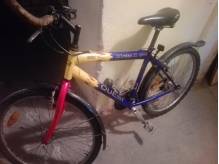 ox_rower-kola-26