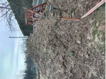 img-20240215-082609.jpeg