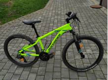 ox_rower-rockrider-st100