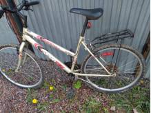 ox_rower-sportek-sprawny