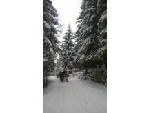 ox_wisla-kuligi-zimowe-z-biesiada-w-kolybie-weekend-ferie