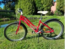 ox_rower-kross-modo-malina-24