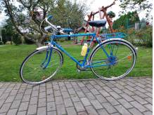 ox_rower-romet-wagant-prl