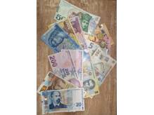 ox_euro-dolar-lej-rumunski-lari-gruzinskie-liry-tureckie-i-inne