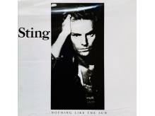 ox_cd-nowa-polecam-wspanialy-album-cd-sting-album-nothing-like-the-sun