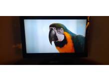 ox_telewizor-philips-32