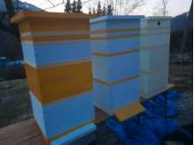 ox_ule-wielkopolskie-10ramkowe-ze-styroduru