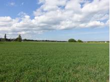 ox_skoczow-pruchna-115-ha-w-samym-centrum-z-prawem-zabudowy-lux-lokaliza