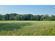 ox_duza-dzialka-rolna-na-sprzedaz-w-ochabach-malych