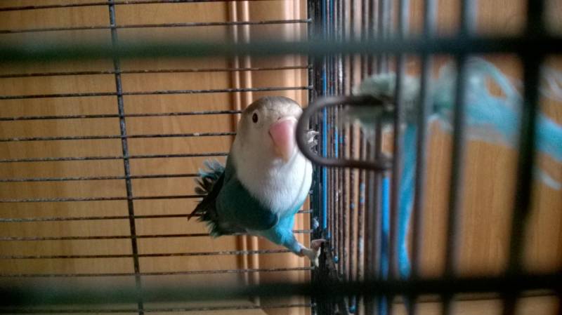 wp-20180105-11-14-39.jpeg