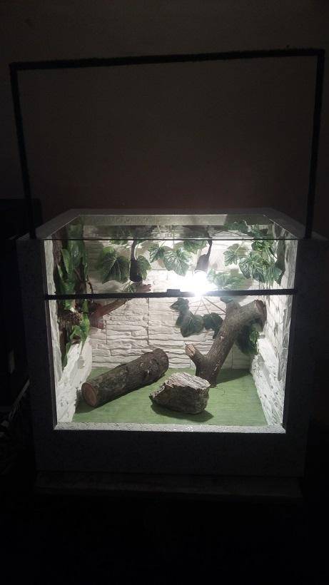 ox_aktualne-terrarium-na-wazagamazolwpajakkameleon-itp