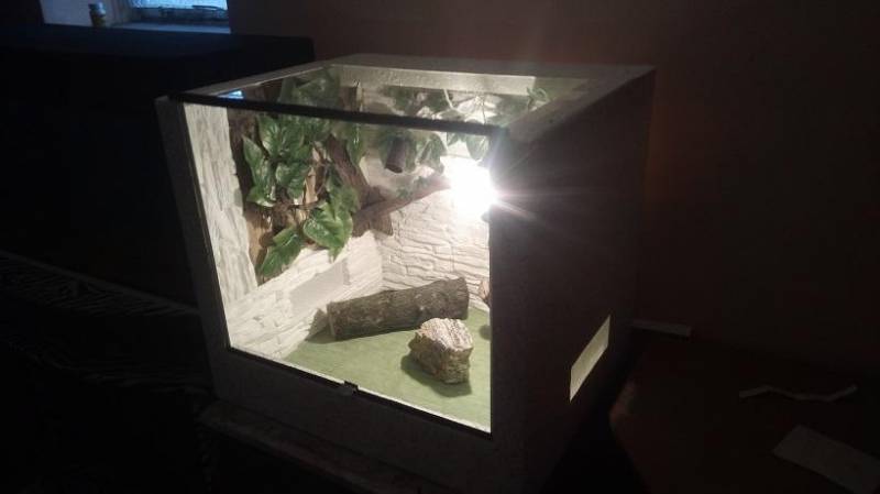ox_aktualne-terrarium-na-wazagamazolwpajakkameleon-itp