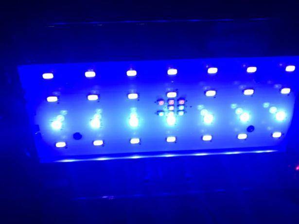 ox_zetlight-aqua1201-16-w