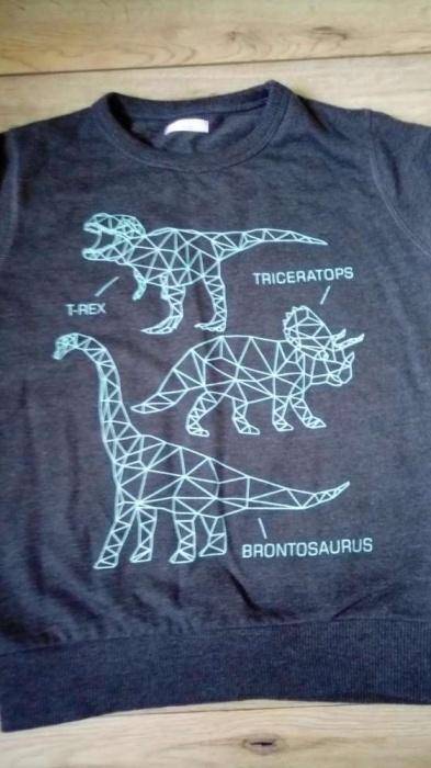 ox_bluza-w-dinozaury-rozmiar-110116
