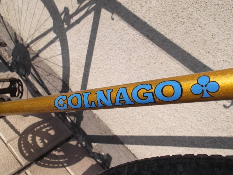 ox_rower-colnago