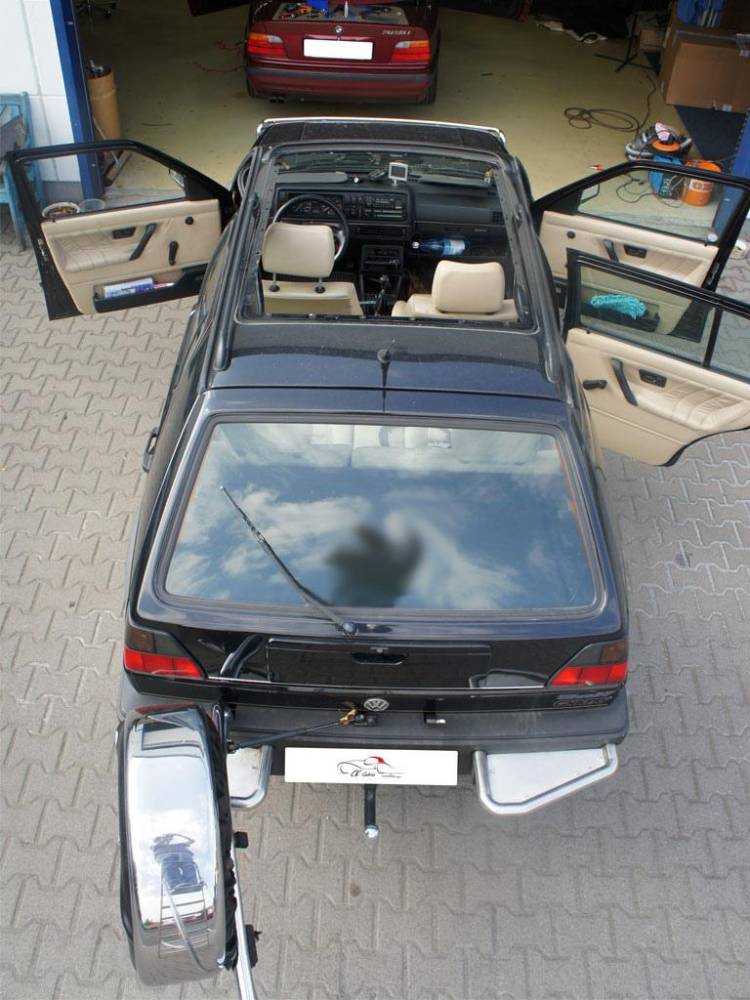 ox_falldach-twingo