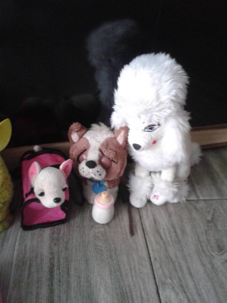 ox_paka-furby-piesek-chi-chi-love-pamietnik-na-haslo-inne