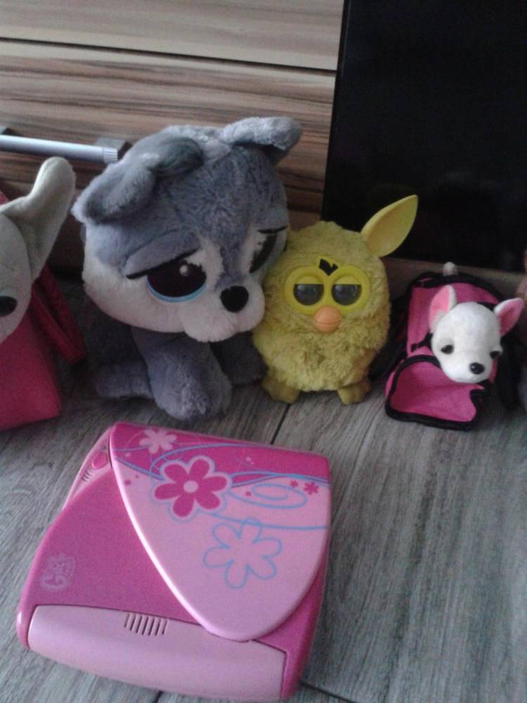 ox_paka-furby-piesek-chi-chi-love-pamietnik-na-haslo-inne
