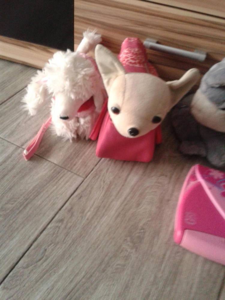 ox_paka-furby-piesek-chi-chi-love-pamietnik-na-haslo-inne
