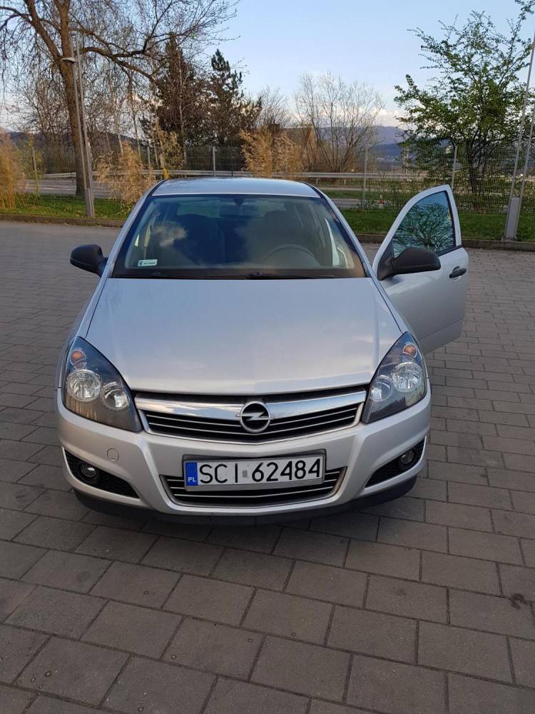 ox_sprzedam-opla-astre