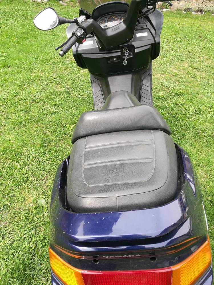 ox_skuter-yamaha-majesty