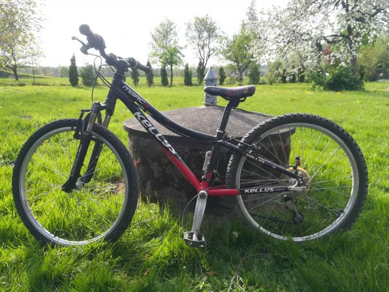 ox_rower-dzieciecy-kellys