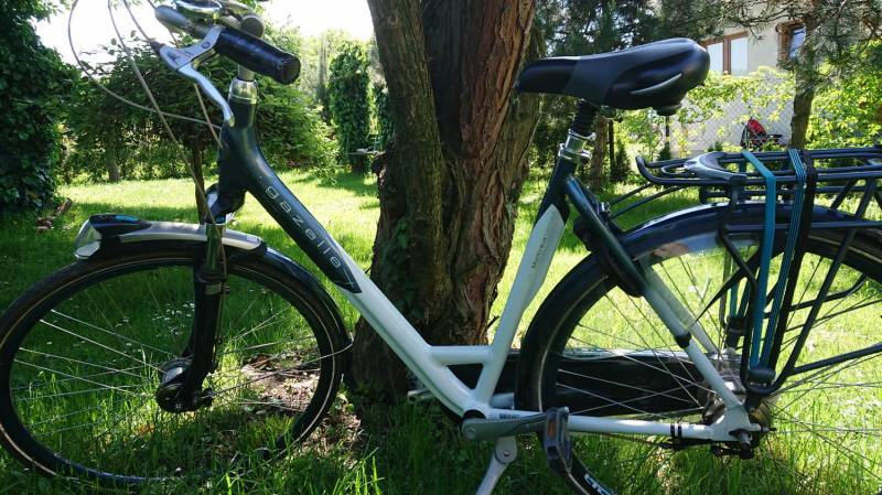 ox_sprzedam-damski-rower-gazelle