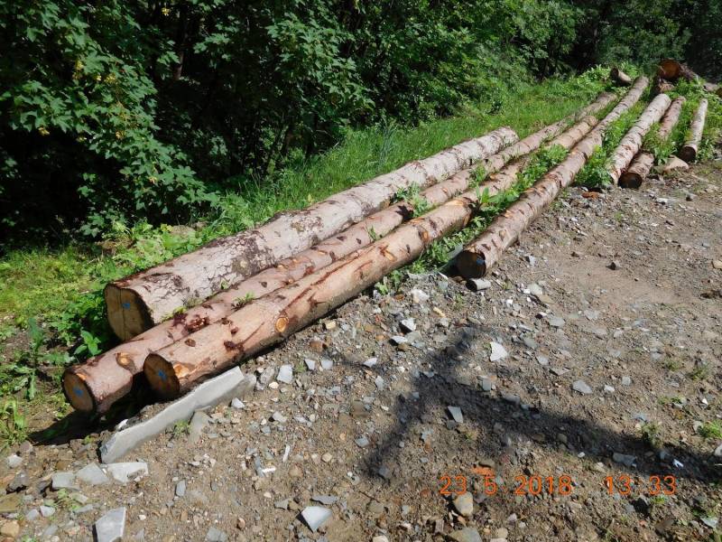 ox_drzewo-tartaczne-swierk-jodla-modrzew-sprzedam-20m3