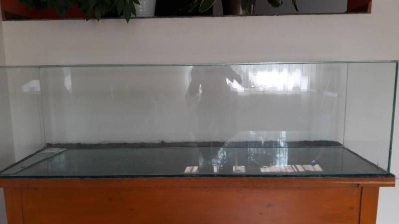 ox_akwarium-150cm