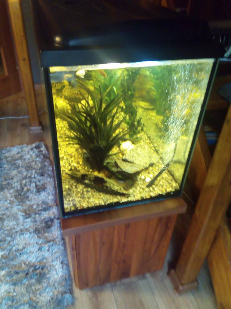 ox_akwarium-450l-plus-szafka