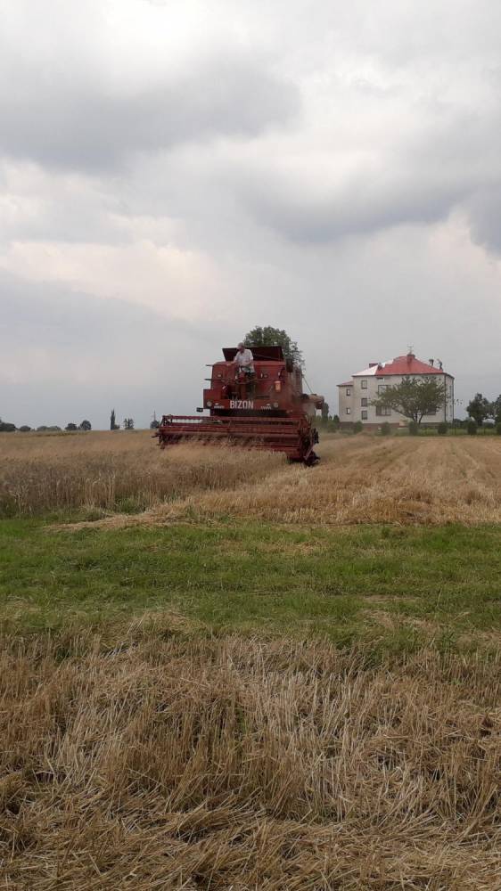 ox_kombajn-bizon-z56
