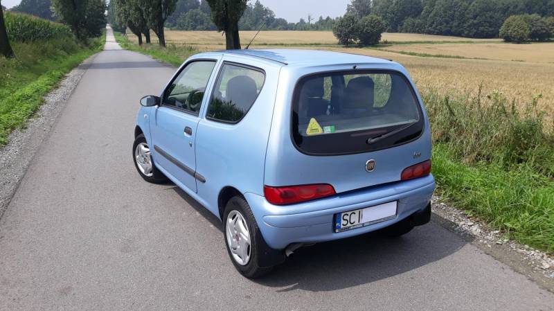 ox_seicento-11-2008r