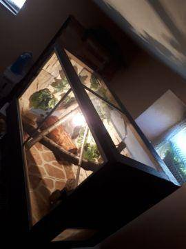 ox_terrarium