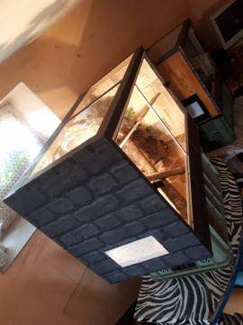 ox_terrarium
