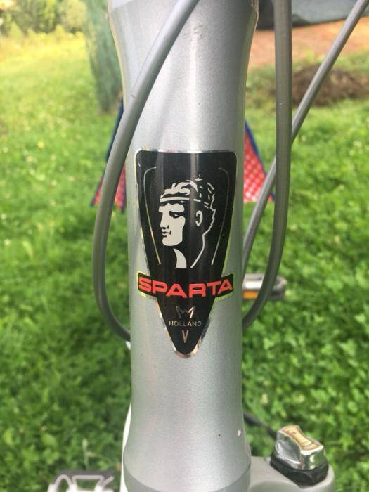 ox_rower-sparta-amphion-jak-batavus-gazelle-holender-damski-miejski