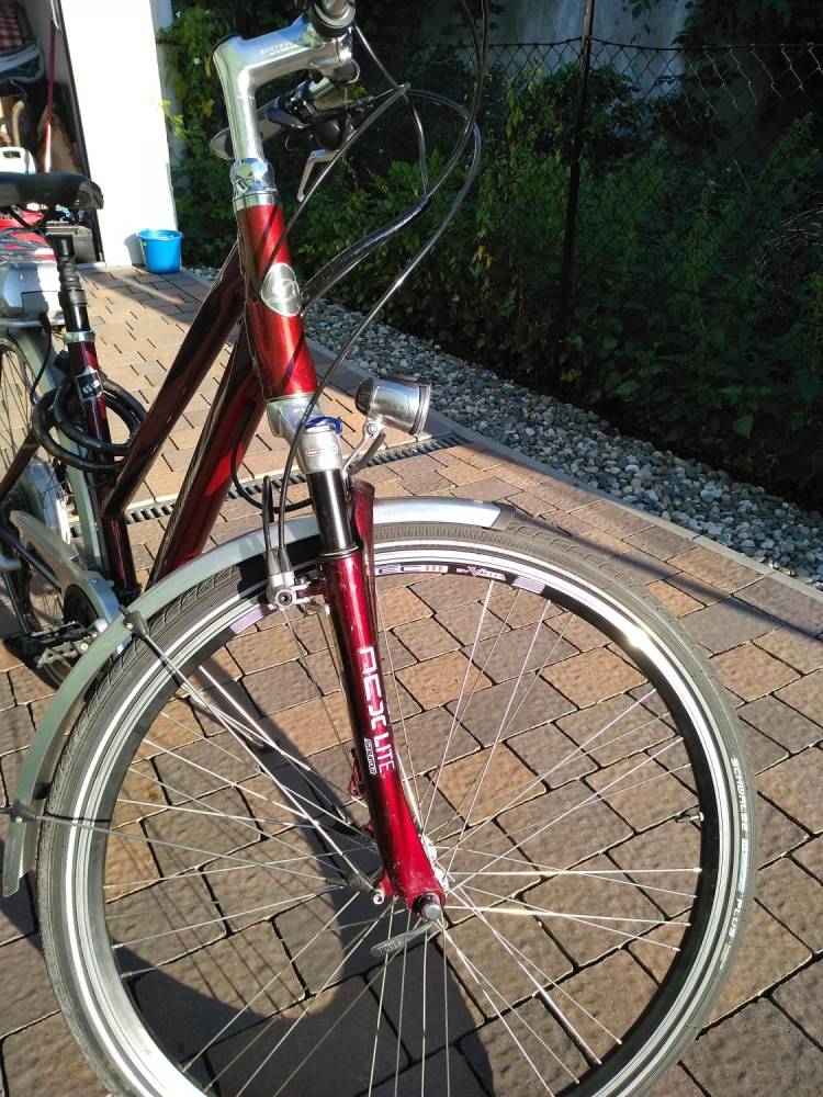 ox_rower-elektryczny-diamant-zouma-sport-mercedes-wsrod-rowerow