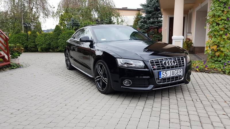 ox_audi-s5-a5-s-line-30-tdi-290-km-580-nm-bialy-kruk-full-opcja