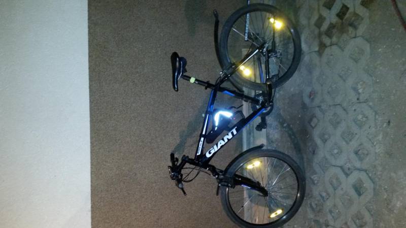 ox_rower-giant-boulder