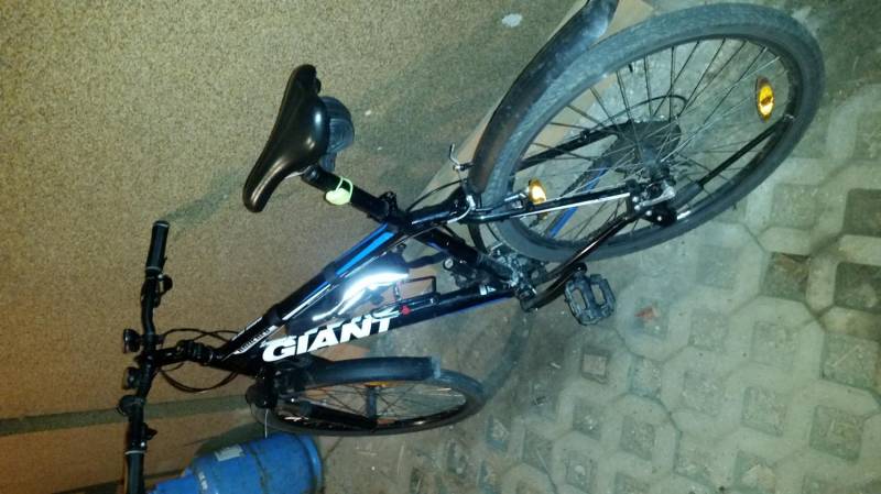 ox_rower-giant-boulder