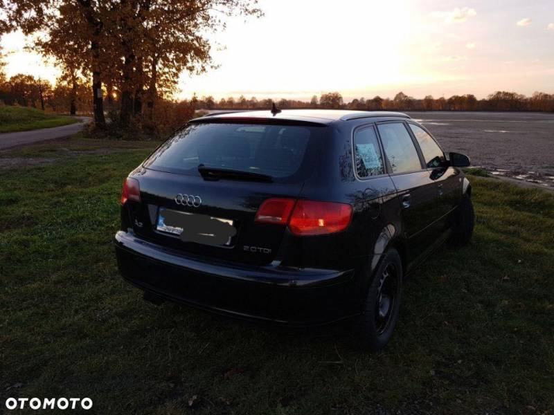 ox_audi-a3-8p-2005-r-20-tdi-serwisowana-zadbana