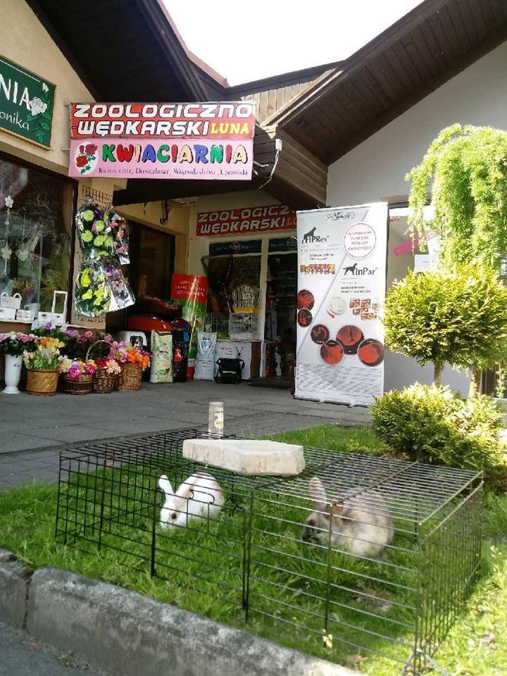 ox_zatrudnie-sprzedawce-do-sklepu-zoologicznego-luna-w-skoczowie