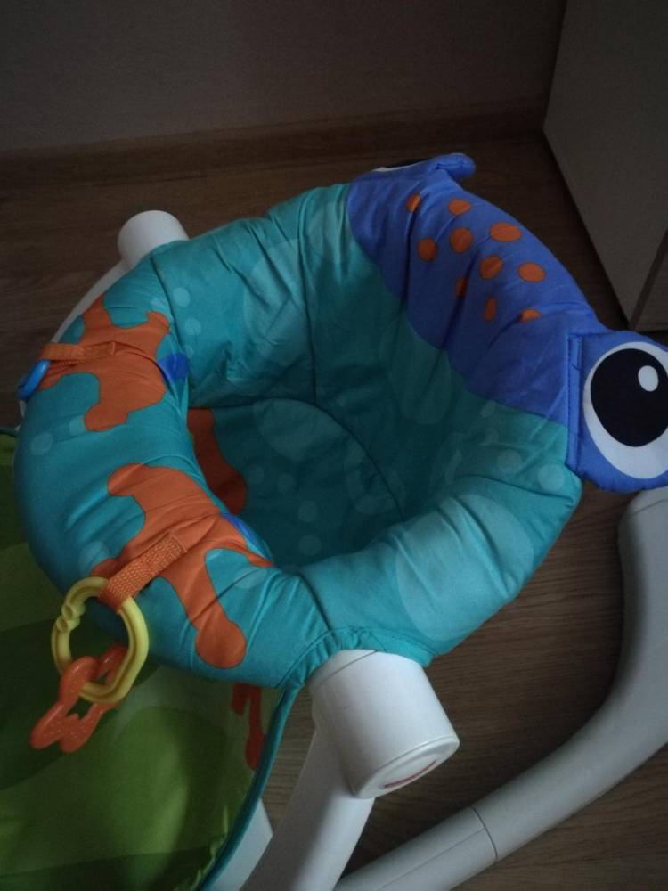 ox_fotelik-zabka-siadaj-ze-mna-fisher-price