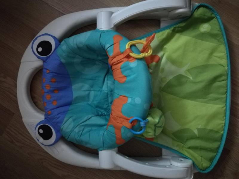 ox_fotelik-zabka-siadaj-ze-mna-fisher-price