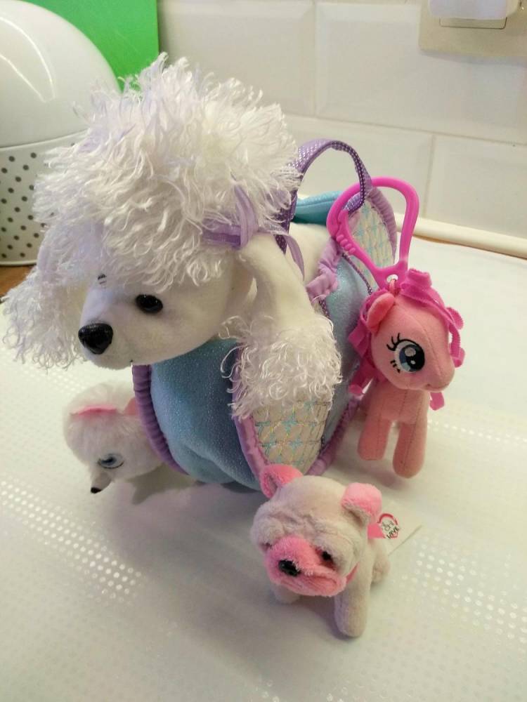 ox_piesek-w-torebce-chi-chi-love-maly-pudelek-brelok-pony