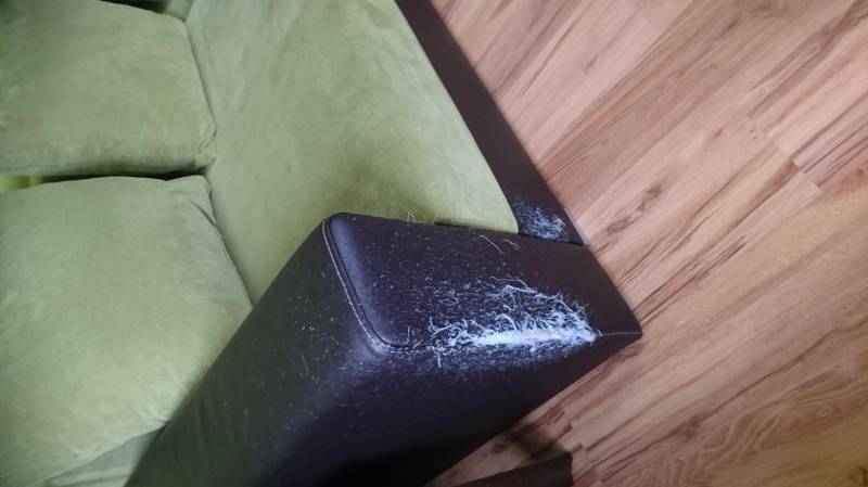 ox_sofa-rogowka