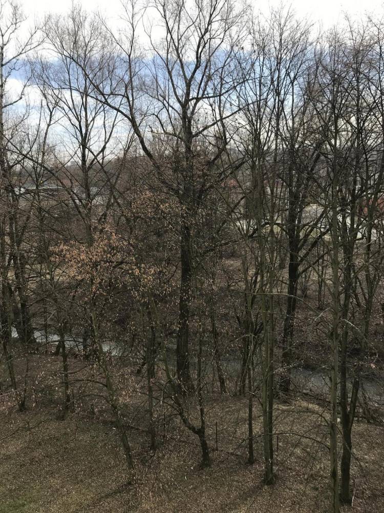 ox_cieszyn-ladne-m3-w-super-lokalizacji