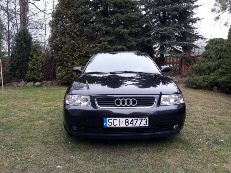 ox_audi-a3-2002-rok-19-tdi-130-km