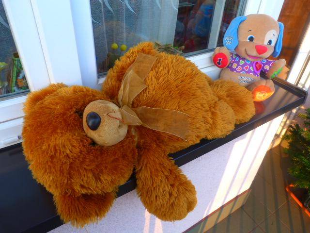 ox_szczeniaczek-uczniaczek-fisher-price-i-ogromny-pluszowybrazowy-mis